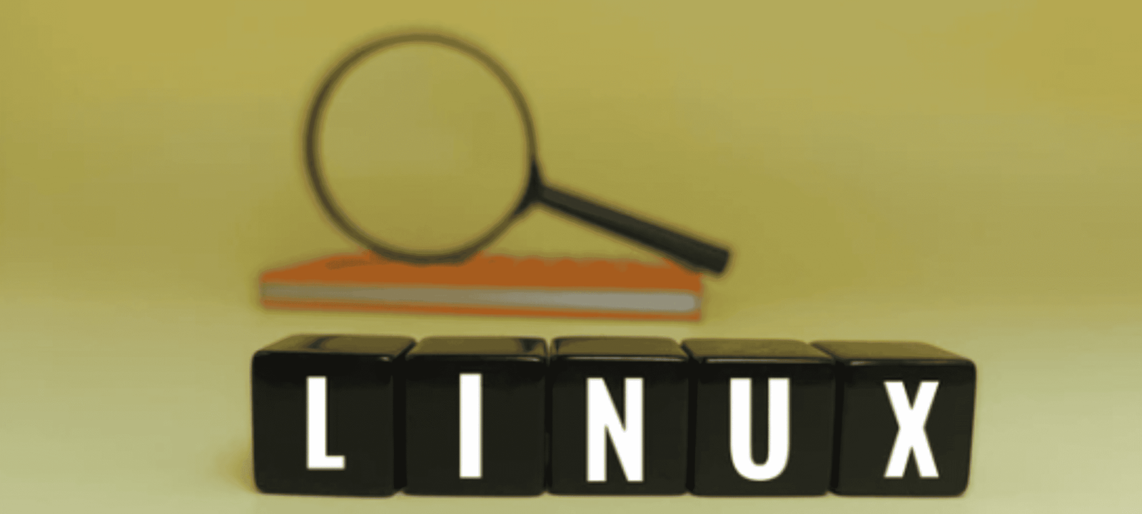 Sete comandos essenciais do Linux para manter o computador rápido e estável - Imagem do artigo