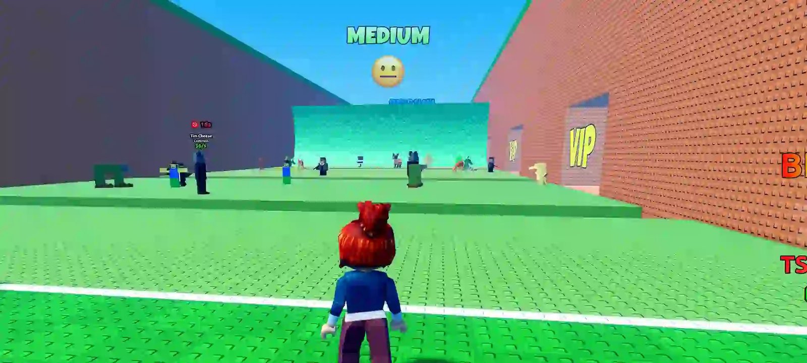 Lista completa de Brainrots em Escape Tsunami for Brainrots: raridades, valores e progressão - Imagem do artigo