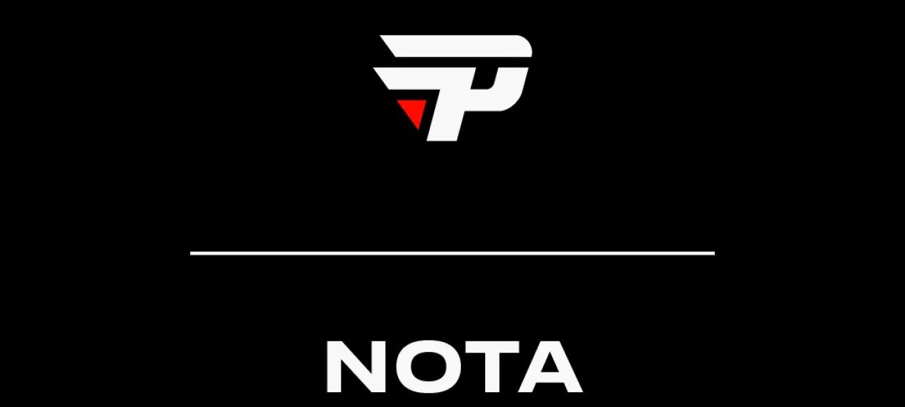 paiN Gaming interrompe participação no competitivo de Free Fire e provoca ajustes no ecossistema brasileiro - Imagem do artigo